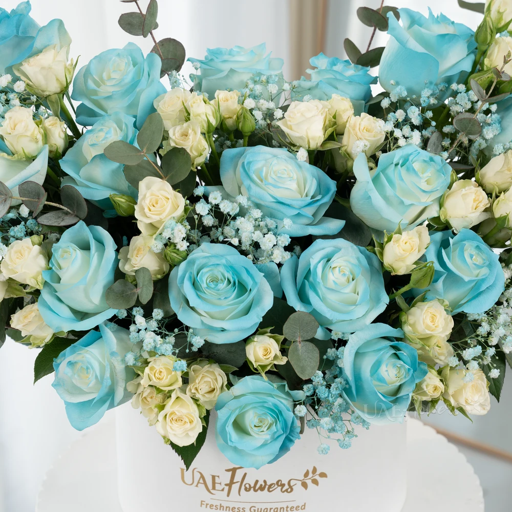 A box arrangement of 20 blue sprayed roses and 5 white spray roses with green & Baby's breath fillers.