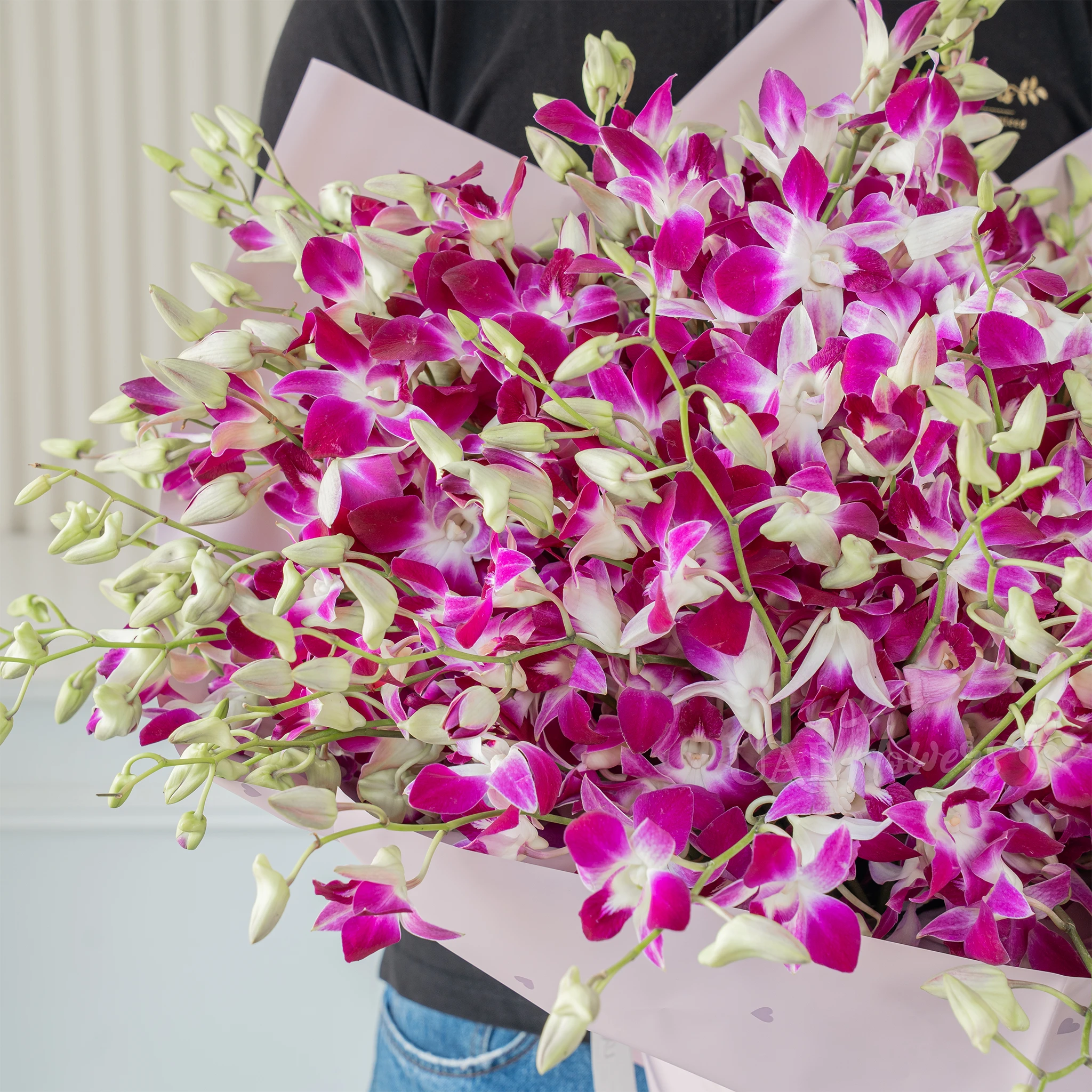 Bouquet of 100 purple orchids with fillers in a pink wrapping paper.