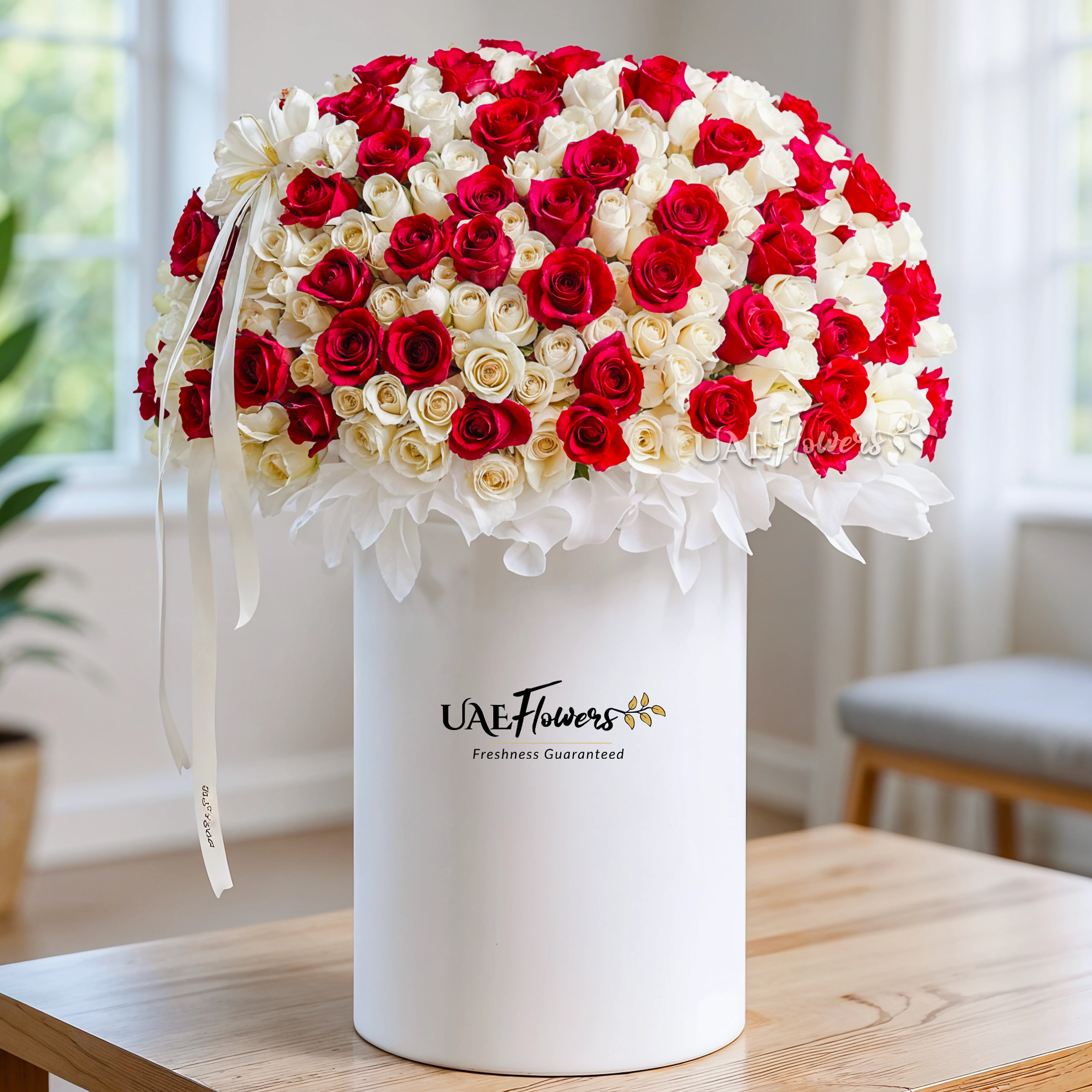 Full round arrangement of 300 red and white roses in a tall round box.
