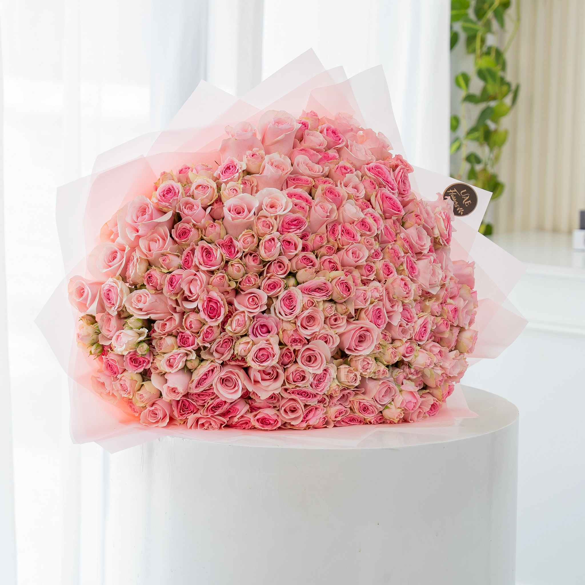 200 pink spray roses bouquet in blush wrapping