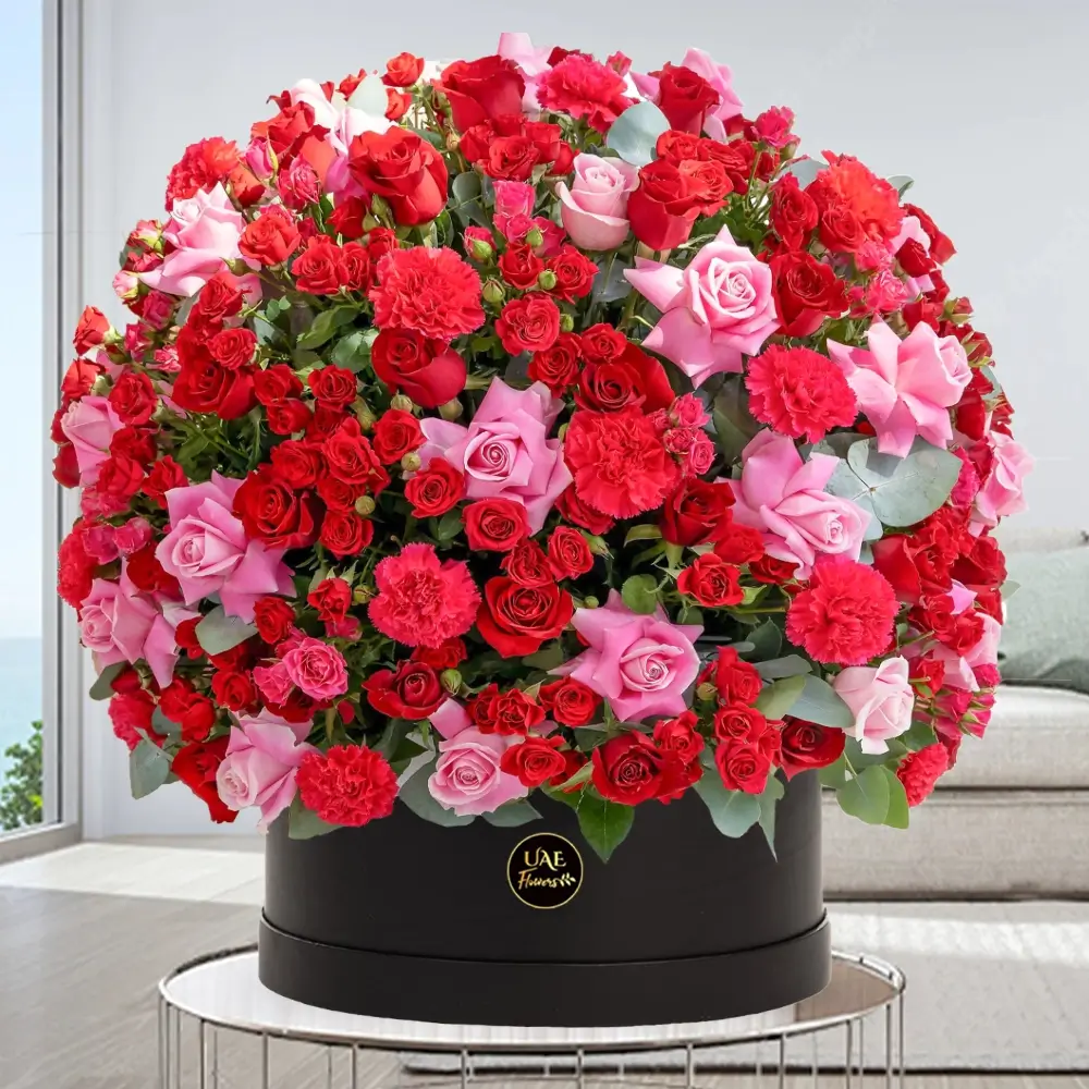 A round arrangement of 200 red & pink roses & 50 spray roses in a box