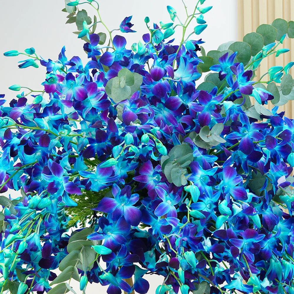 50 blue orchids arranged on a stand with elegant fillers.