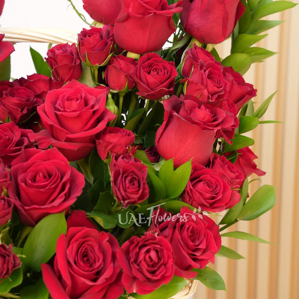 20 red roses and 5 red spray roses with green fillers.