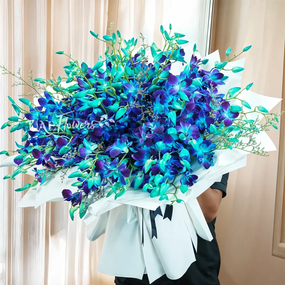 bouquet of 80 blue orchids
