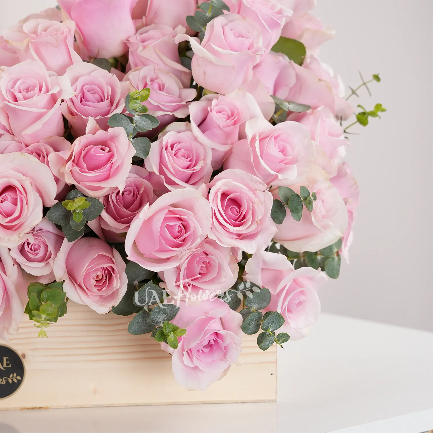 Pink Roses , pink flowers