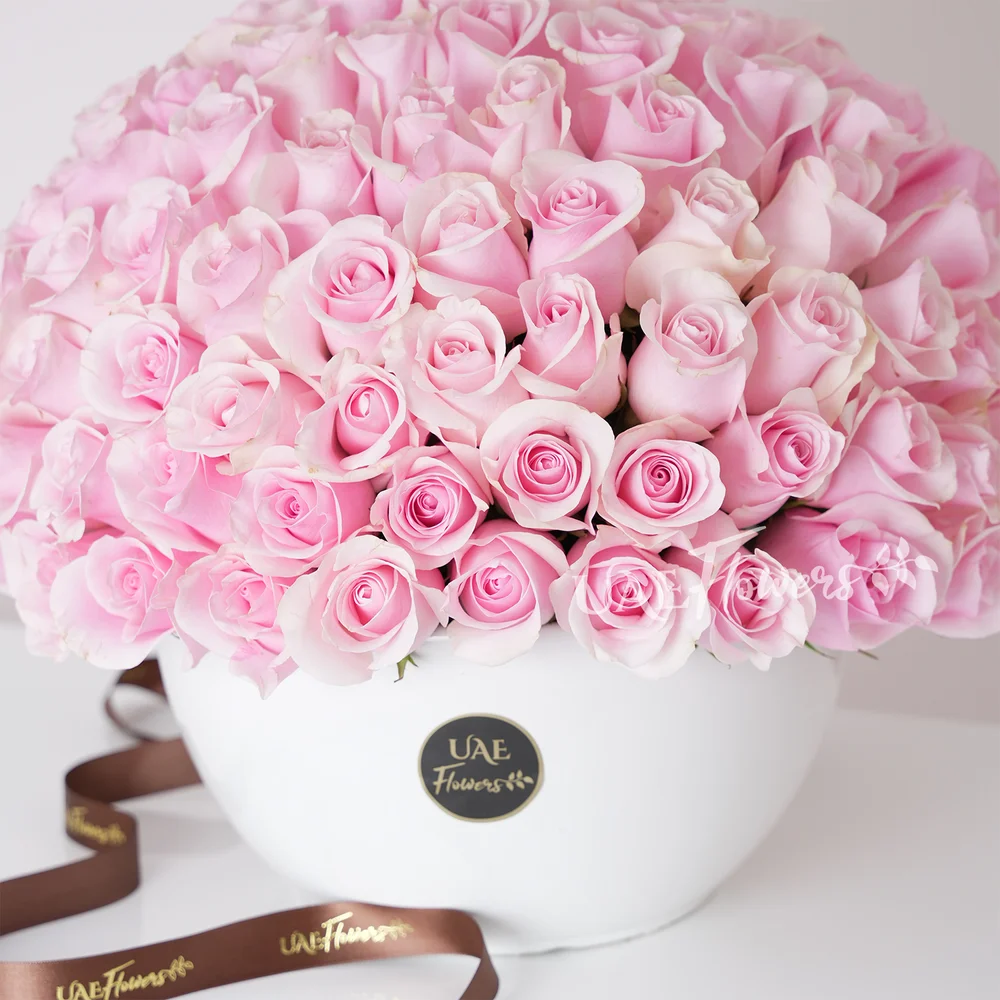 100 pink roses in a ceramic vase