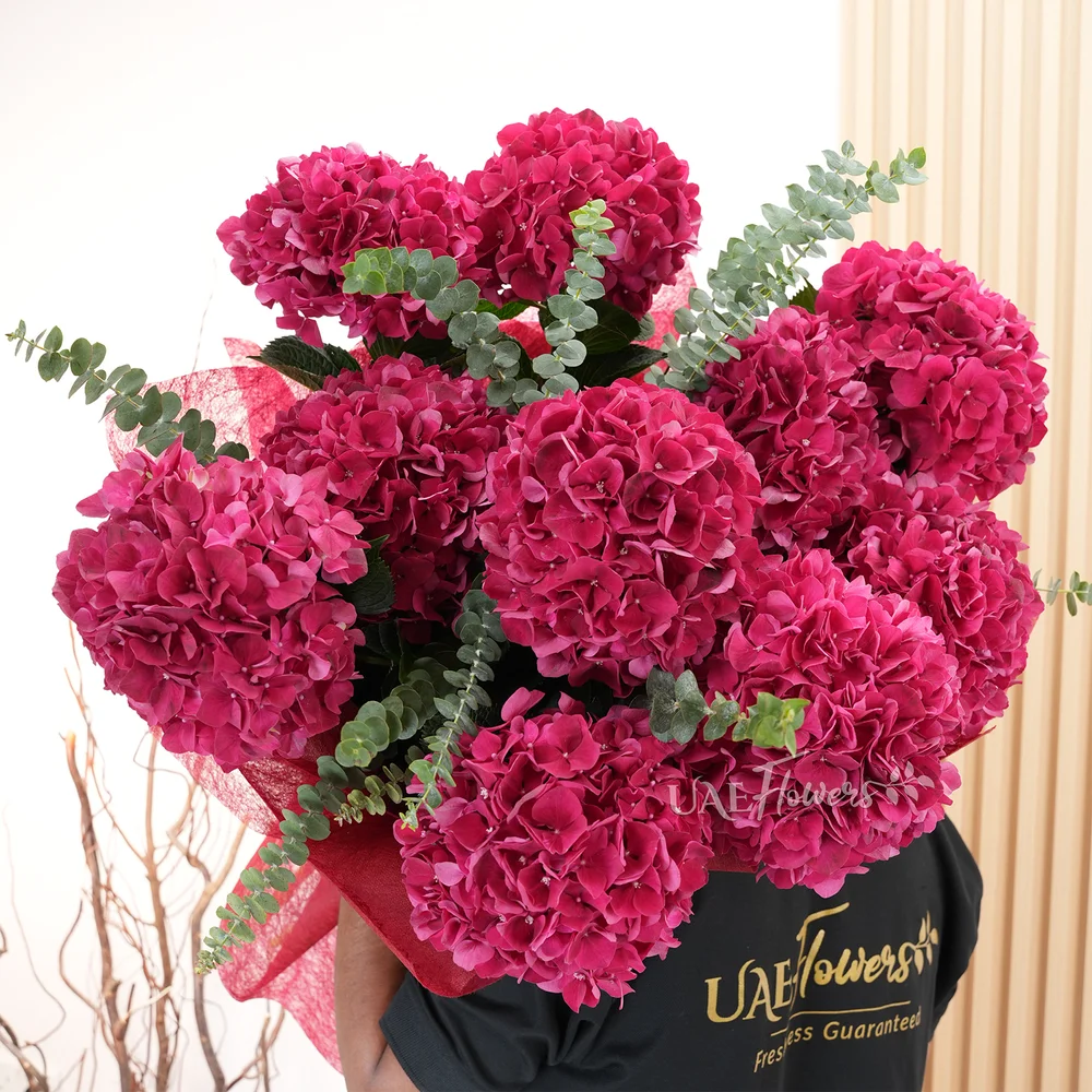 bouquet of 10 red hydrangeas with eucalyptus fillers