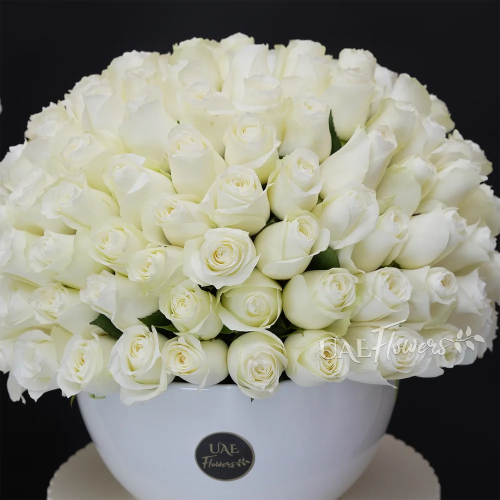 100 white roses bouquet
